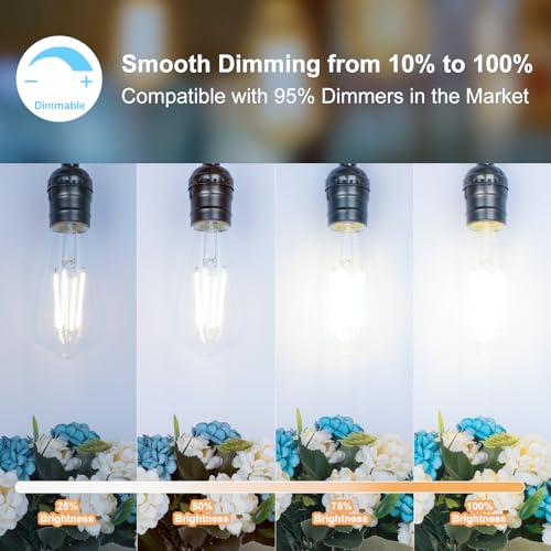 ST58 E26 LED Light Bulbs (4 Count)