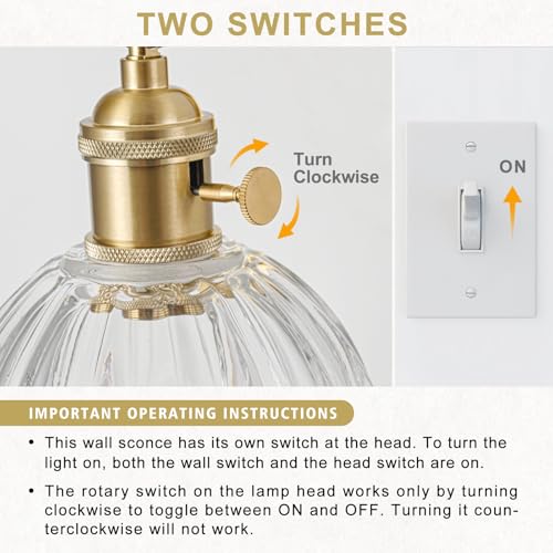 Hardwired Wall Sconce Light