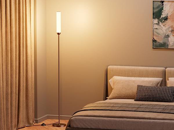 LED Floor Lamp with Remote Control