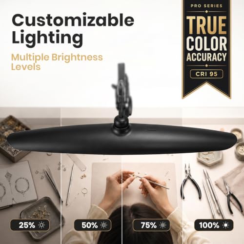 Pro Series LED Desk Lamp