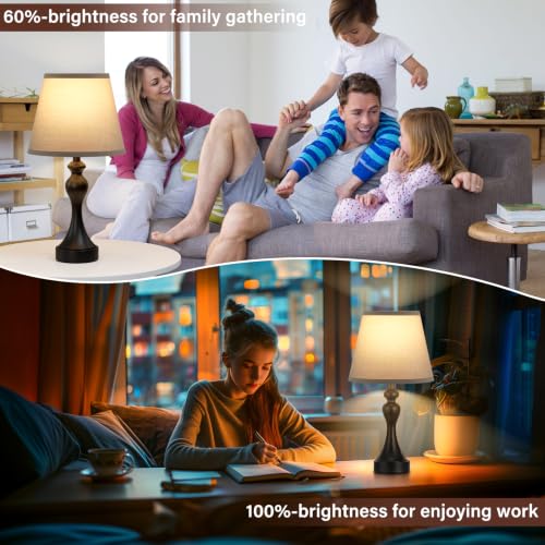 Touch Lamps for Nightstand (2 Count)
