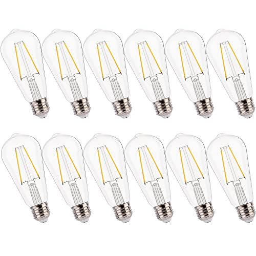 ST19 LED Edison Bulbs for String Lights (12 Count)
