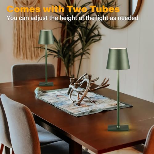 2 Pack Cordless Table Lamps