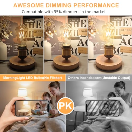 6 Pack Vintage LED Edison Bulbs (6 Count)