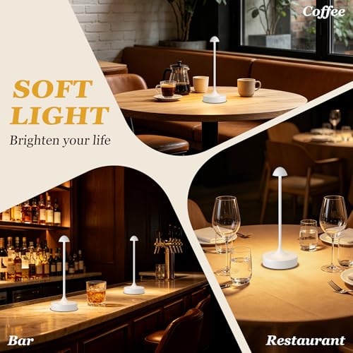 Rechargeable Cordless Table Lamp (2 Count)