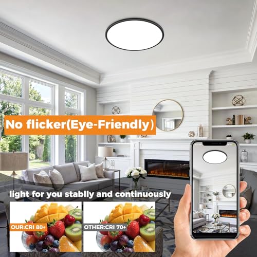 15.8INCH Big Dimmable Flush Mount Ceiling Light Fixture Black