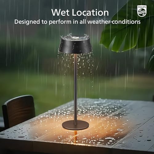 Cordless Table Lamp