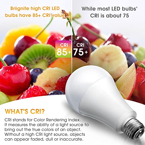 3 Way LED Light Bulbs 50 100 150W Equivalent A21 Soft White 3000K (2 Count)
