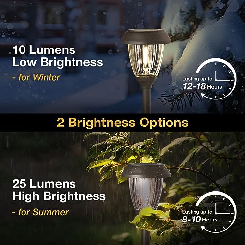Solar Pathway Lights Outdoor (6 Count)