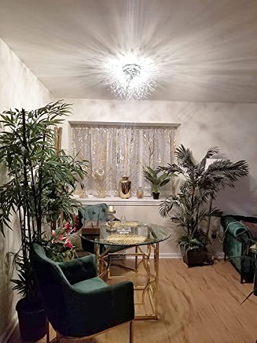 Crystal Sputnik Firework Close to Ceiling Light