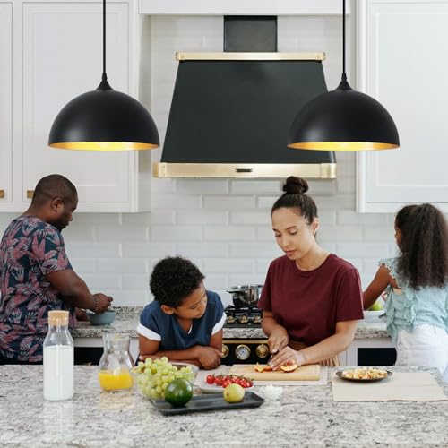 Black Plug in Pendant Light 2 Packs 11.8inch