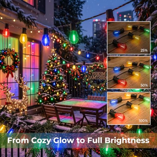 S14 Colored LED Outdoor String Bulbs for Christmas (24 Count)