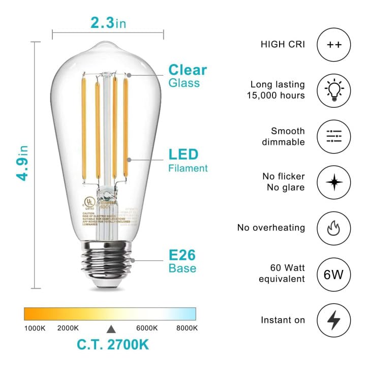 12 Pack Edison LED Light Bulbs (12 Count)