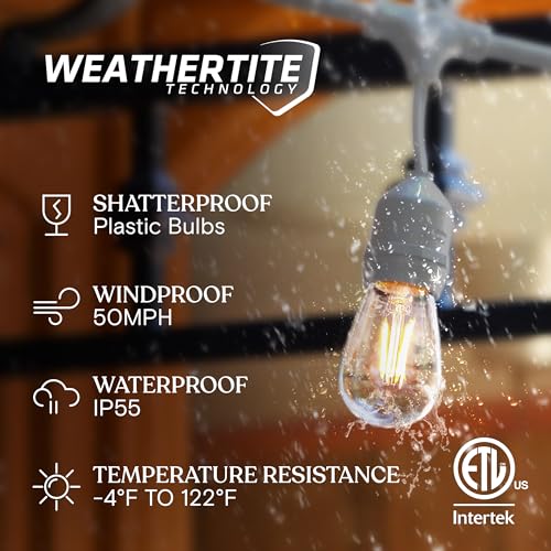 Ambience Pro Waterproof LED Outdoor String Lights (48 Foot)