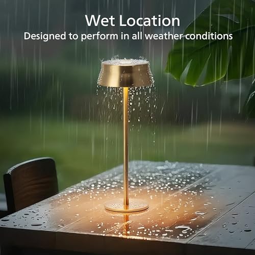 Cordless Table Lamp (2 Count)