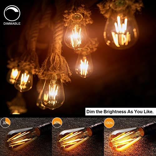 LED Edison Bulbs (6 Count)