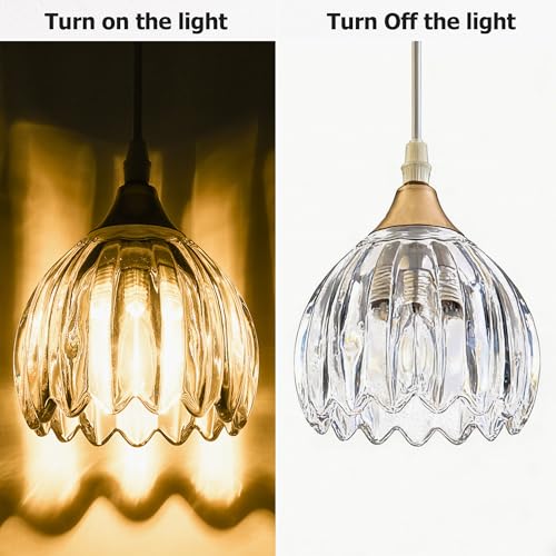 Clear Tulip Glass Lamp Shades 3Pcs (3 Count)