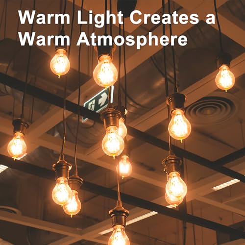 Warm Incandescent Light Bulbs 60 Watt (12 Count)