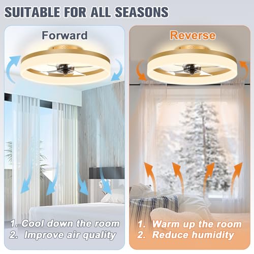 Low Profile Ceiling Fans with Lights and Remote
