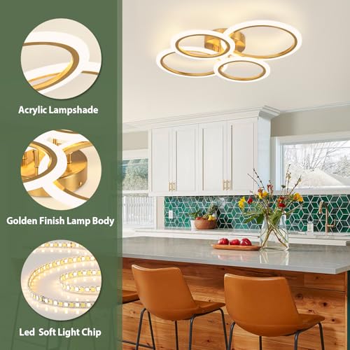 Modern LED Ceiling Light