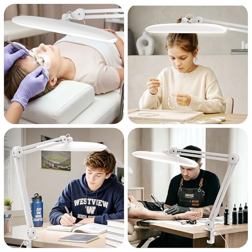 LED Desk Lamp with Clamp