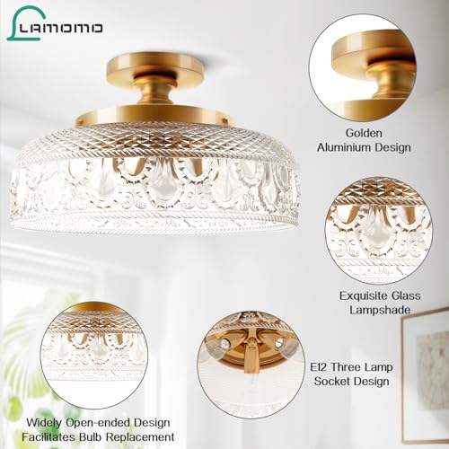 Semi Flush Mount Ceiling Light