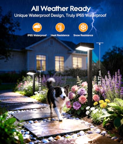 Solar Pathway Lights Outdoor (4 Count)