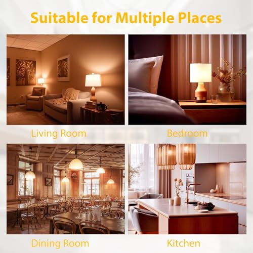 6 Pack LED Light Bulbs A19 E26 60 Watt Equivalent Warm White 3000K Standard Lightbulb (6 Count)
