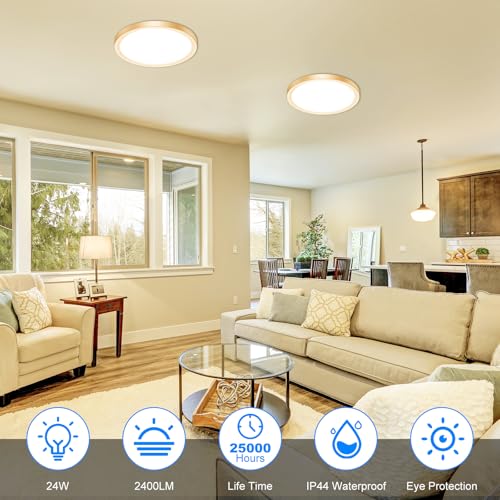 12 Inch LED Ceiling Light Gold