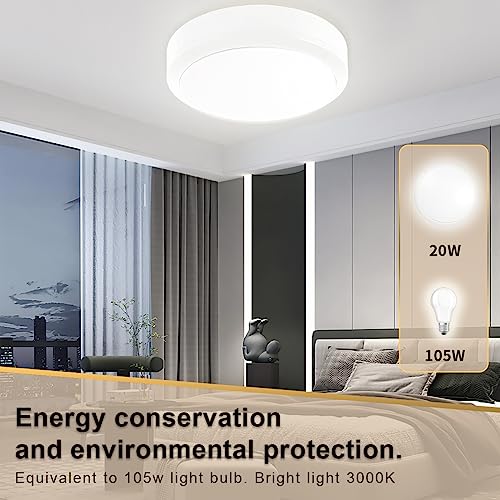 Flush Mount Ceiling Light