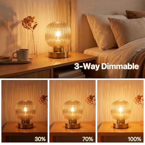 Amber Touch Glass Table Lamp Set of 2 (2 Count)