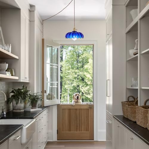 Plug in Pendant Light