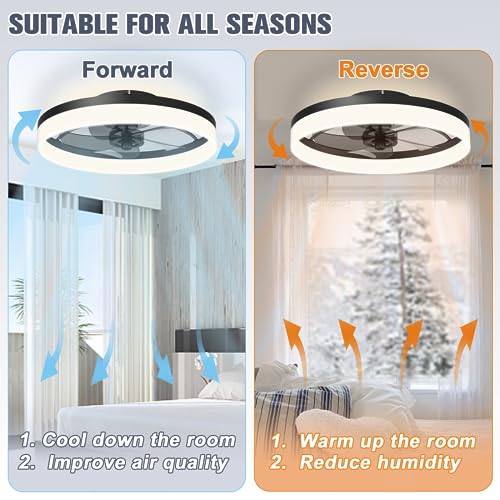 Low Profile Ceiling Fans with Lights and Remote