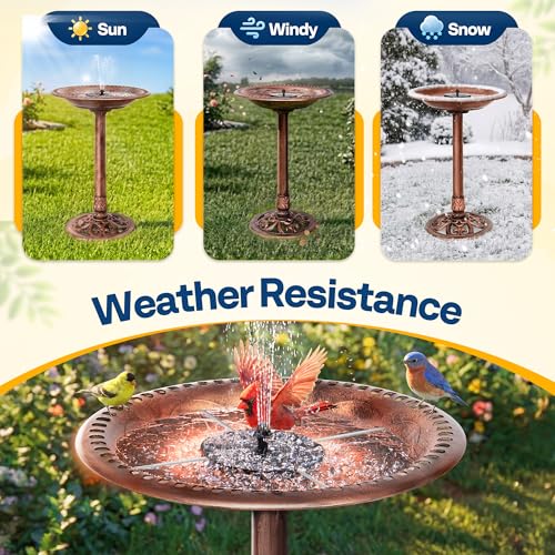 Bird Bath with Solar Fountain for Outside