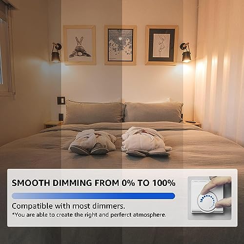 60 Pack Dimmable Vintage E26 LED Light Bulb (60 Count)