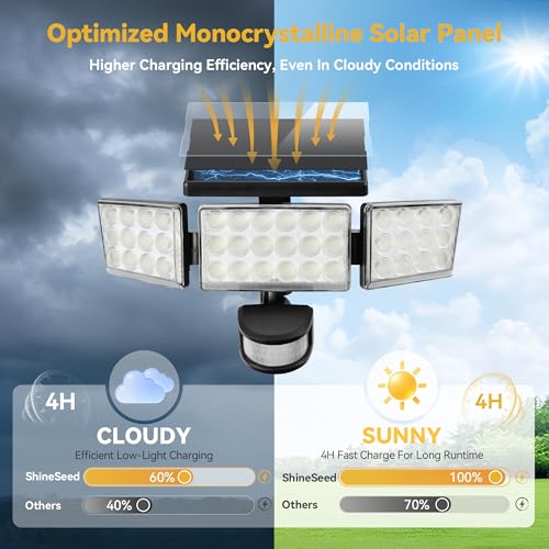 Solar Lights Outdoor (4 Count)