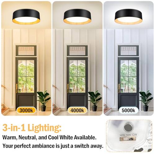 Flush Mount Ceiling Light