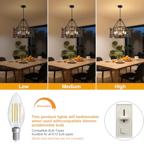 20" Dining Room Light Fixture