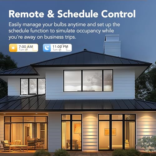 Smart Edison Light Bulbs with WiFi ST19 (4 Count)