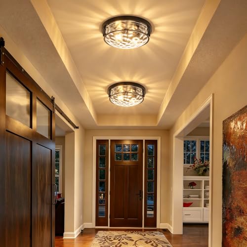 Black 2 Light Ceiling Light Fixture with Hammered Glass