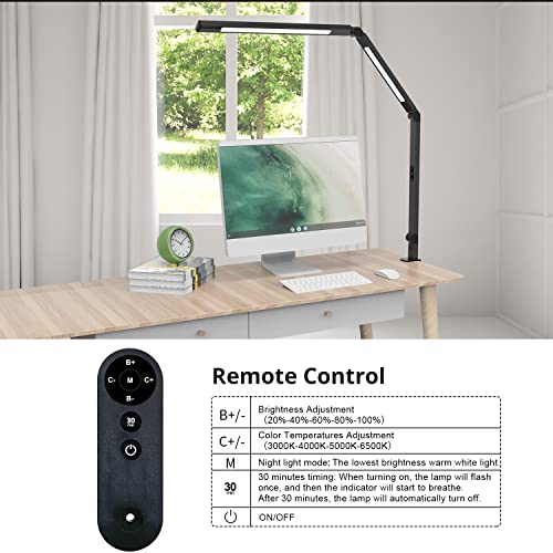 LED Desk Lamp with Clamp
