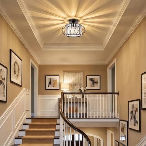 Black Crystal Ceiling Light Fixture