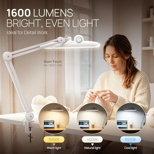 LED Desk Lamp with Clamp