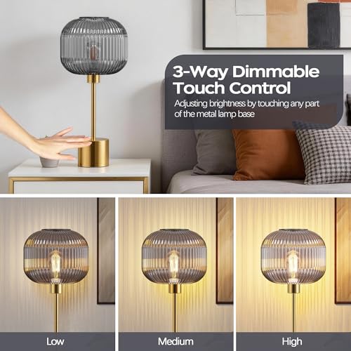 Glass Table Lamp for Living Room
