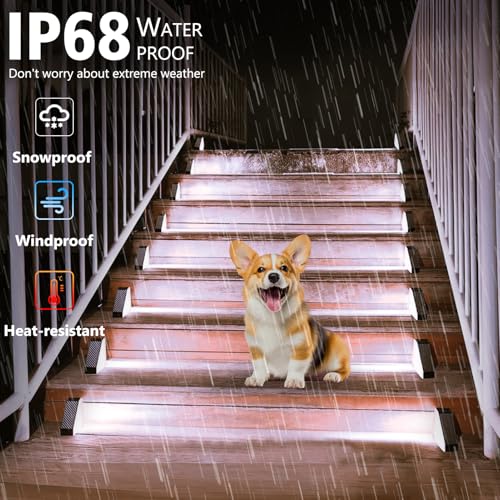 12 Pack Solar Step Lights 100 Lumen Ultra Bright Cool White (12 Count)