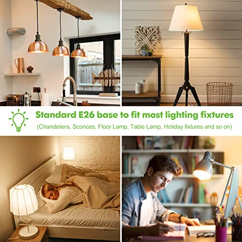 LED Light Bulbs (10 Count)