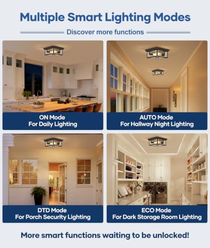 Motion Sensor Outdoor Ceiling Light with Remote