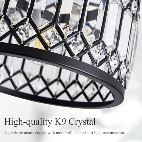 Crystal Black Ceiling Light