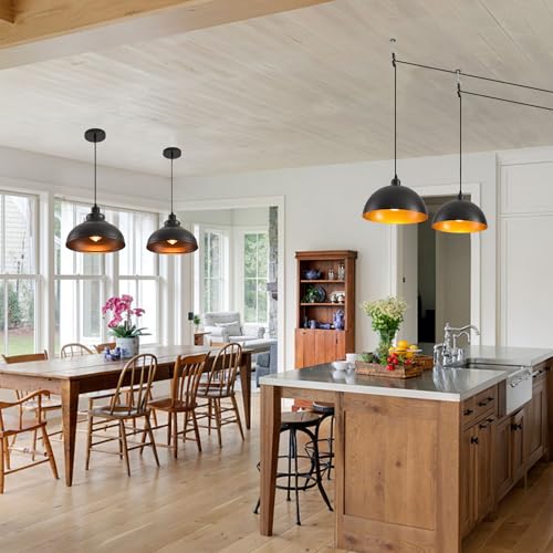 Pendant Lighting Vintage Industrial Fixtures (2 Count)
