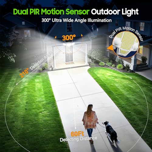 Solar Flood Lights